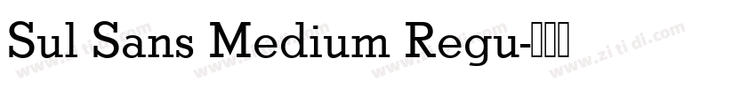 Sul Sans Medium Regu字体转换
